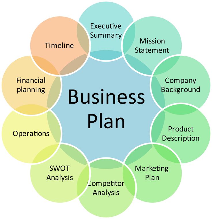 Business Plans/Feasibility Studies